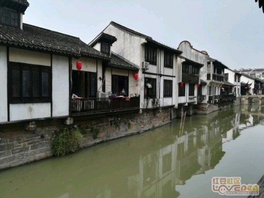 照顾小兔宝宝