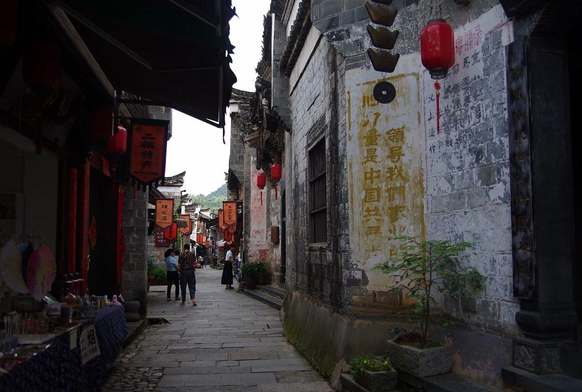 100天学霸养成
